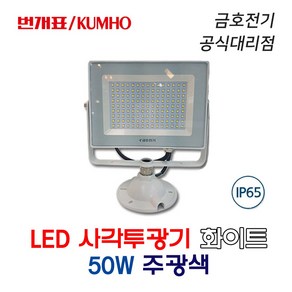 번개표 LED 사각투광등 화이트 50W 주광색 (43744), 43744-화이트_50W_주광색, 1개