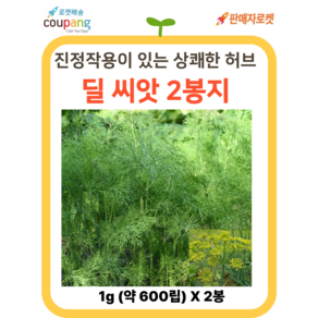 씨드림몰 딜 씨앗 허브 종자 주말농장 샐러드 텃밭, 2개