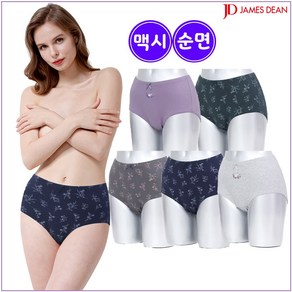 제임스딘 여성 순면 맥시 5매입 WP15A