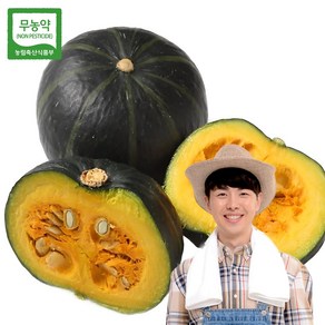 산지직송 국산 친환경 무농약 토종 햇 미니 밤호박 단호박 보우짱 밤단호박 보짱 국내산, 1개, 2kg (약3~4과 내외)