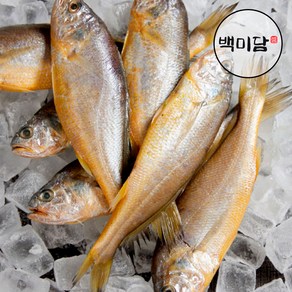 국내산 반건조참조기 실속형, 1세트, 12미(1440g내외)