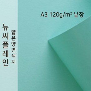 뉴씨플레인 종이문화 얇은 양면색지 120g A3 낱장 1매 No.17 옥색, 1장