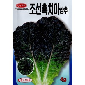 (씨앗) 조선흑치마상추 - 먹치마 - 잎색이 흑자색인 상추 - 맛있는 상추 씨앗 - 4g (약 3천립), 1개