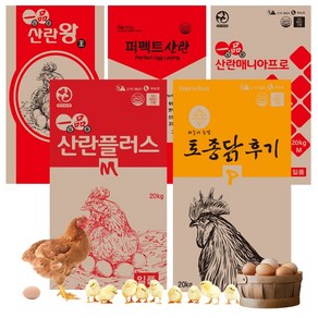 닭사료 20kg 닭모이 병아리사료 병아리모이 중닭 중병아리 먹이 밥, 1. 한일 산란왕20kg(인기상품), 1개