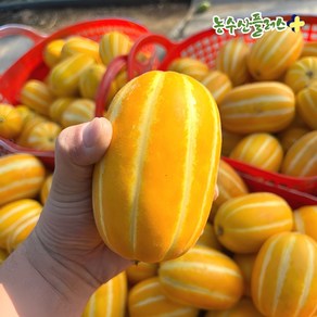 GAP인증 명품 성주 꿀 참외 당도선별 고당도 정품 가정용 농장직송 제철 참외, 1박스, 못난이 꿀참외 2kg (혼합과)