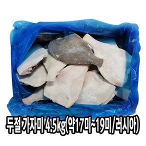 다인 냉동 손질 두절 가자미(약17미) 4.5kg 업소용, [3451-0](박스)200/300두절가자미4.5kg, 1박스