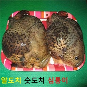 (쌍다리상회)심퉁이 냉동 알도치 숫도치 냉동, 1개, 급냉 숫도치 2마리 통마리 급냉