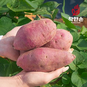 [착한손] 달콤 꿀고구마 세척 고구마, 고구마 4kg (꿀고구마/특), 1개