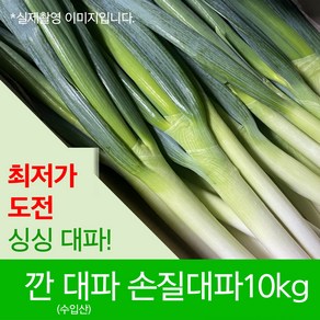 싱싱한 깐대파 손질대파 10kg 신선 식자재 업소용 수입대파 1box