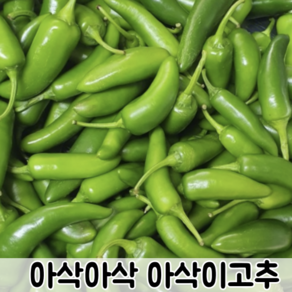 국내산 못난이 아삭아삭 싱싱한 아삭이고추 모닝고추 1kg 2kg 3kg 5kg / 오이고추 아삭이오이고추 오이맛고추 오이고추 모닝고추1키로, 1개