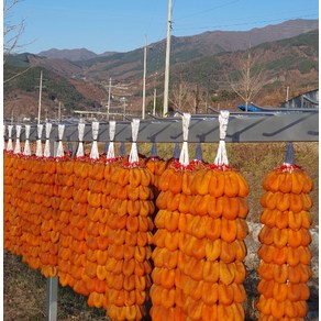 함양 고종시 지리산 곶감 3.0kg 3.5kg 4.0kg 선물 세트, 100과, 1박스