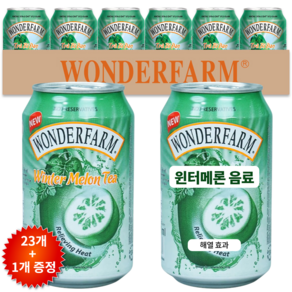 원더팜 윈터메론티 310ml 24개입
