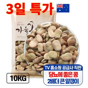 큰나무 자이언트 파바빈 대용량 5kg 공식 수입사 직판 당뇨콩, 2개