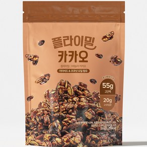 플라이밀 그래놀라 카카오