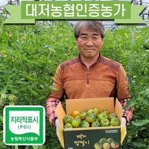 [김순용농부]대저짭짤이토마토 2.5kg 산지직송, M(중과)-2.5kg, 1개