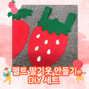 펠트옷DIY (딸기옷) 어린이집 유치원 코스튬 연극의상 역할놀이 오감 퍼포먼스 레드데이, 레드, 1개