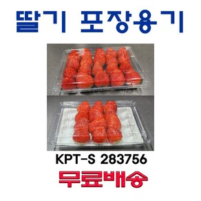 딸기포장용기 500g(투명용기), 1개, 200개입