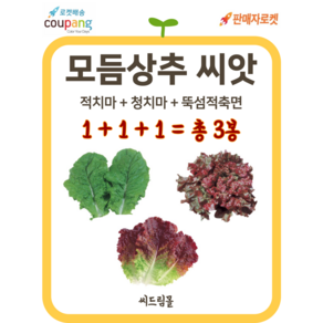 씨드림몰 상추 씨앗 3가지 청치마 적치마 꽃상추 3봉지, 1개