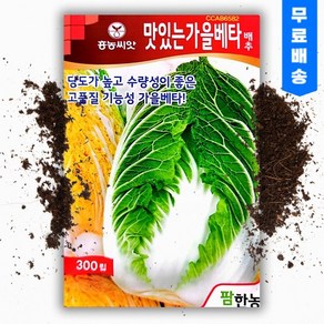 맛있는가을베타 김장배추씨앗 300립 베타카로틴 항암성분 기능성 가을종자, 1개