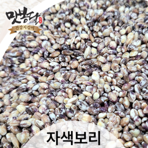 맛봉달 24년산 자색보리 자맥 자색보리쌀 삼색보리 국내산, 1개, 500g