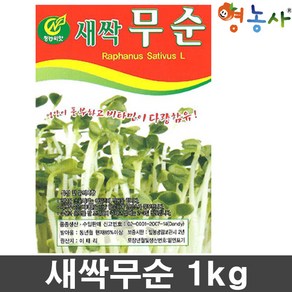 새싹 무순 씨앗 1kg 영농사