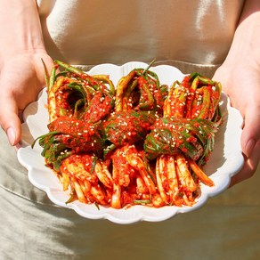 [대통령상수상] 당일제조 전라도 파김치, 1kg, 1개