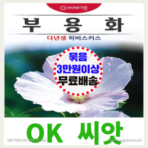 [OK씨앗] [부용화] 부용씨앗 종자(오케이씨앗), 1개