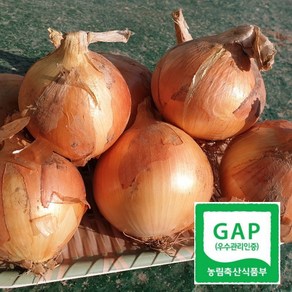 [GAP산지직송] 국내산 양파 2kg 3kg 5kg 햇양파