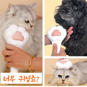 건강노리 댕냥이 반려동물 원터치 저자극 브러쉬, 1개