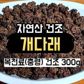 최상 개다래 열매 건조 300g 국산 목천료 충령