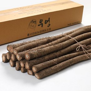 더조은푸드 [서안동농협] 유명산지 우엉 대품 2kg, 1