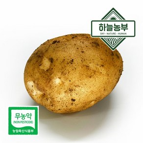 하늘농부 친환경 포슬포슬 감자 1kg, 1개, 감자 1kg (소 100g이하)