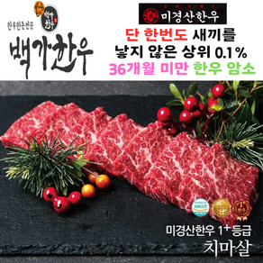 미경산한우 1+ 치마살 300g