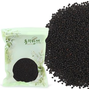 동의한재 중국산 산초씨 산초 열매 씨앗, 500g, 1개