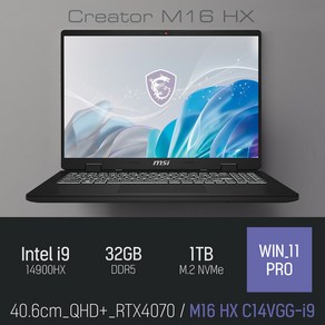 MSI 크리에이터 M16 HX C14VGG-i9, WIN11 Po, 32GB, 1TB, 그레이