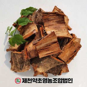 국내산 유근피 500g 제천약초영농조합, 1개