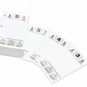 2025년도 양지 다이어리 탁상내지 대형 89X152MM-개(1개입)