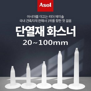 [Asol INT'L] 단열재 화스너 인슐레이션 앙카 앙카화스너 20~100mm/1박스(1 000개), 1개