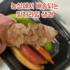 [농장 산지 직송] 핑거라임 130g 냉동 Finge Lime 새콤달콤 캐비어라임 톡 터지는 국내산 알맹이과일 희귀과일 열대과일 톡톡튀는 케비아라임 비타민C 신맛 비타민과일, 1박스, 핑거라임 냉동 130g