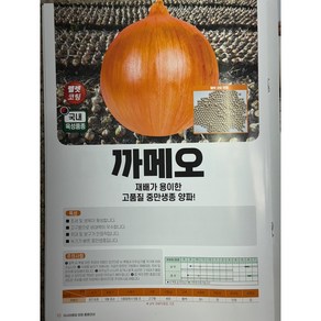 까메오 양파 100g 중만생 양파씨앗종자, 1개