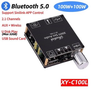 ZK-1002T CS8673E Bluetooth 5.0 서브우퍼 증폭기 보드 2*100W 채널 고출력 오디오 스테레오 베이스 앰프, 02 하늘색_01 CHINA