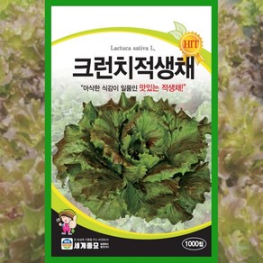 상추 씨앗 생채 적생채 1000립 쌈채소 종자 야채, 1개