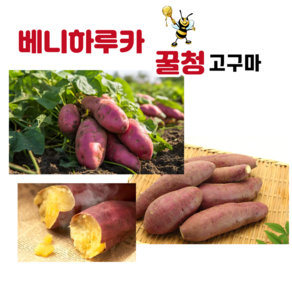 [미소가] 국내산 꿀청고구마 3kg 5kg 10kg, 1박스, 3kg(중)