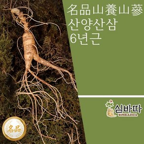 산양산삼 6년근 5뿌리 장뇌삼 세트 명절 산양삼 산삼 인삼 추석 선물, 1개