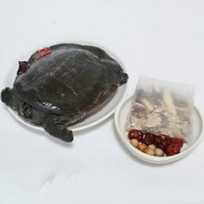 용강자라농장 용봉탕기본(자라1+한약티백1), 1개, 1kg(산자라기준)