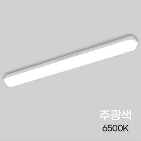 PL 등기구 LED 30W 일자 주광