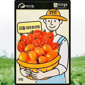 아시아종묘 모둠 대추토마토 씨앗 20립 혼합 대추토마토씨 종자, 1개