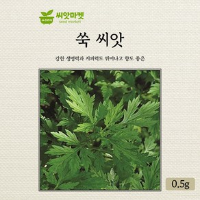 아람종묘 쑥 씨앗 1만립, 1개