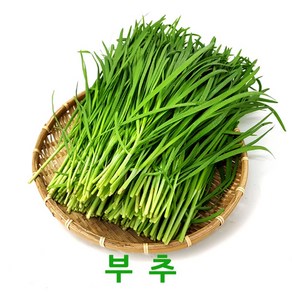 싱싱한 부추2kg 4kg 웰빙체소, 부추4kg, 1박스