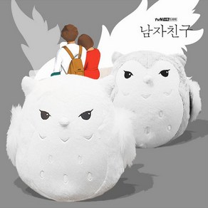 아울이 부엉이 인형[드라마 남자친구] 동물인형, 그레이, 25cm, 1개